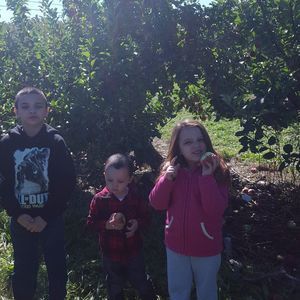 Meet your Posher, Alice